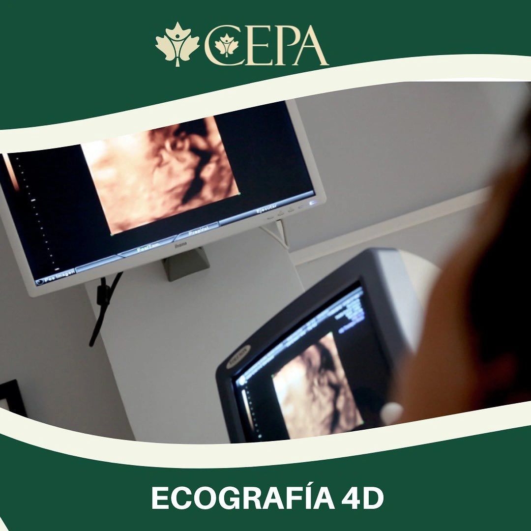 CEPA – redes sociales