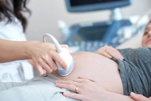 CEPA – equipo de salud
